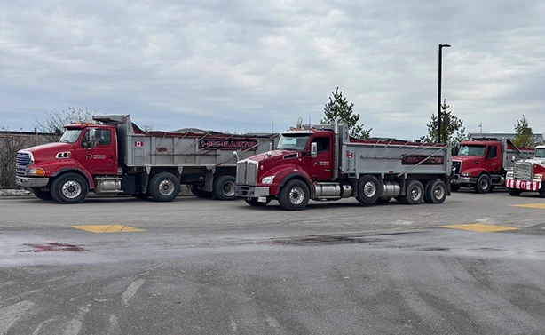 A lineup of Peters Paving tri-axle dump trucks equipped with 1-800-BLACKTOP branding for aggregate hauling and asphalt delivery.